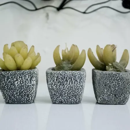 Uyutniy Dvorik Odessa