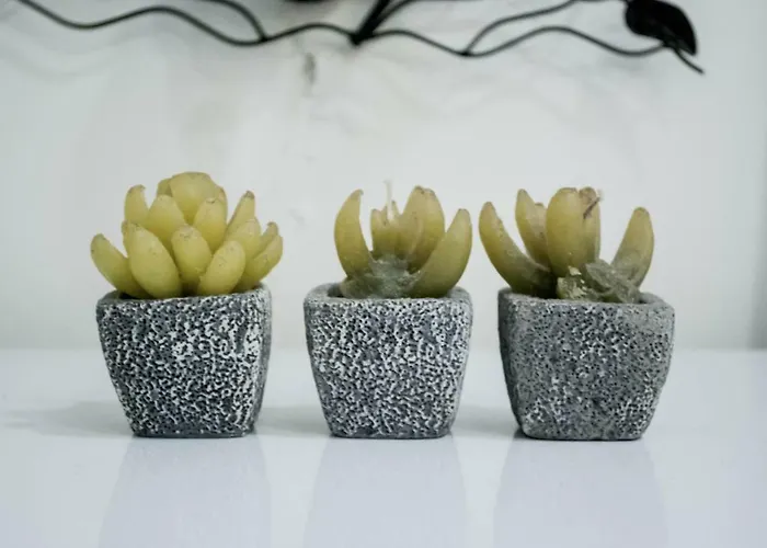 Uyutniy Dvorik Odessa