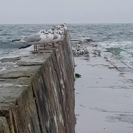 Hotel Uyutniy Dvorik