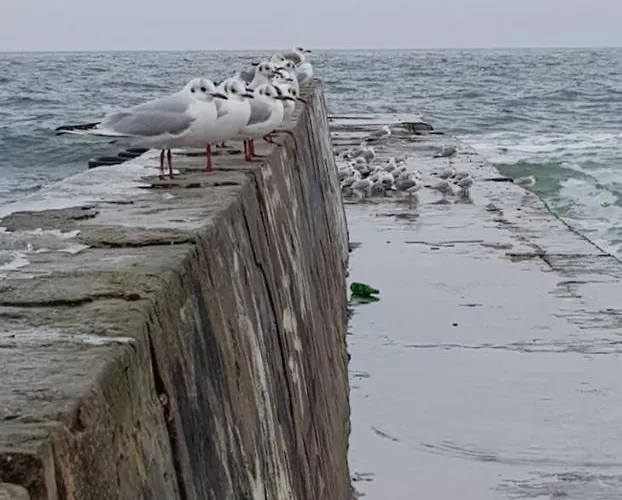 Hotel Uyutniy Dvorik